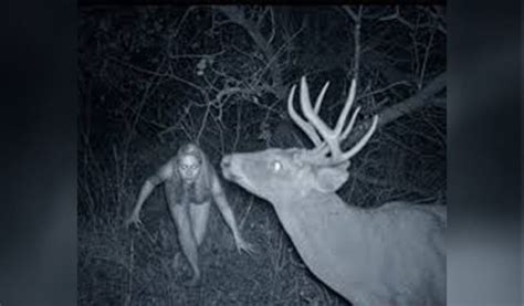 trail cam nudes|trail cam Search